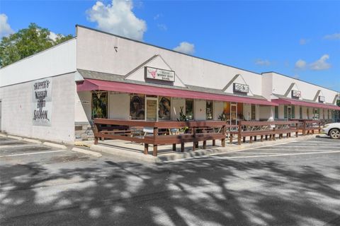 Tiny photo for 3451 E Louise Lane, Hernando, FL 34442 (MLS # OM713993)