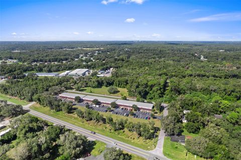 Tiny photo for 3451 E Louise Lane, Hernando, FL 34442 (MLS # OM713993)