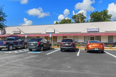 Tiny photo for 3451 E Louise Lane, Hernando, FL 34442 (MLS # OM713993)