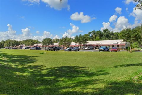 Tiny photo for 3451 E Louise Lane, Hernando, FL 34442 (MLS # OM713993)