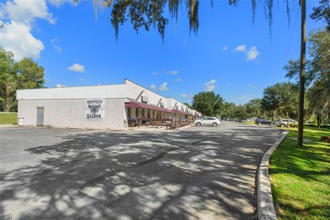 Tiny photo for 3451 E Louise Lane, Hernando, FL 34442 (MLS # OM713993)