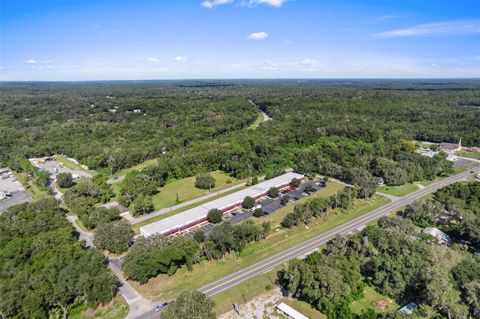 Tiny photo for 3451 E Louise Lane, Hernando, FL 34442 (MLS # OM713993)