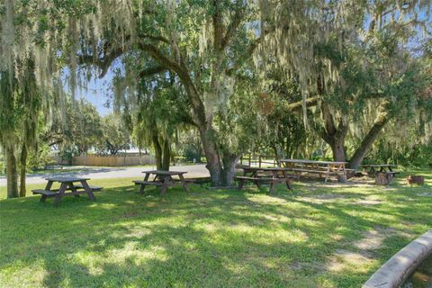 Tiny photo for 3451 E Louise Lane, Hernando, FL 34442 (MLS # OM713993)