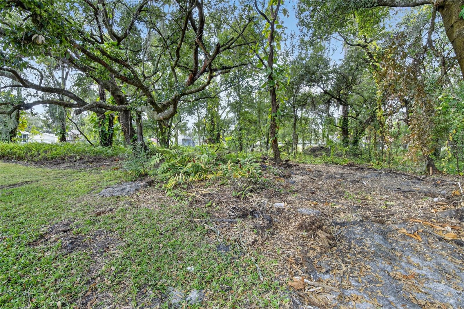 UNPLATTED - Residential