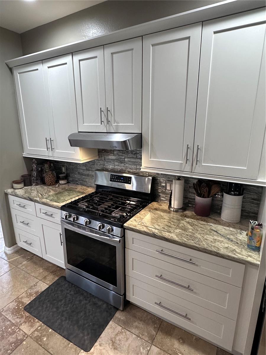 CARLYLE AT VILLAGES OF PALM-AIRE - Residential