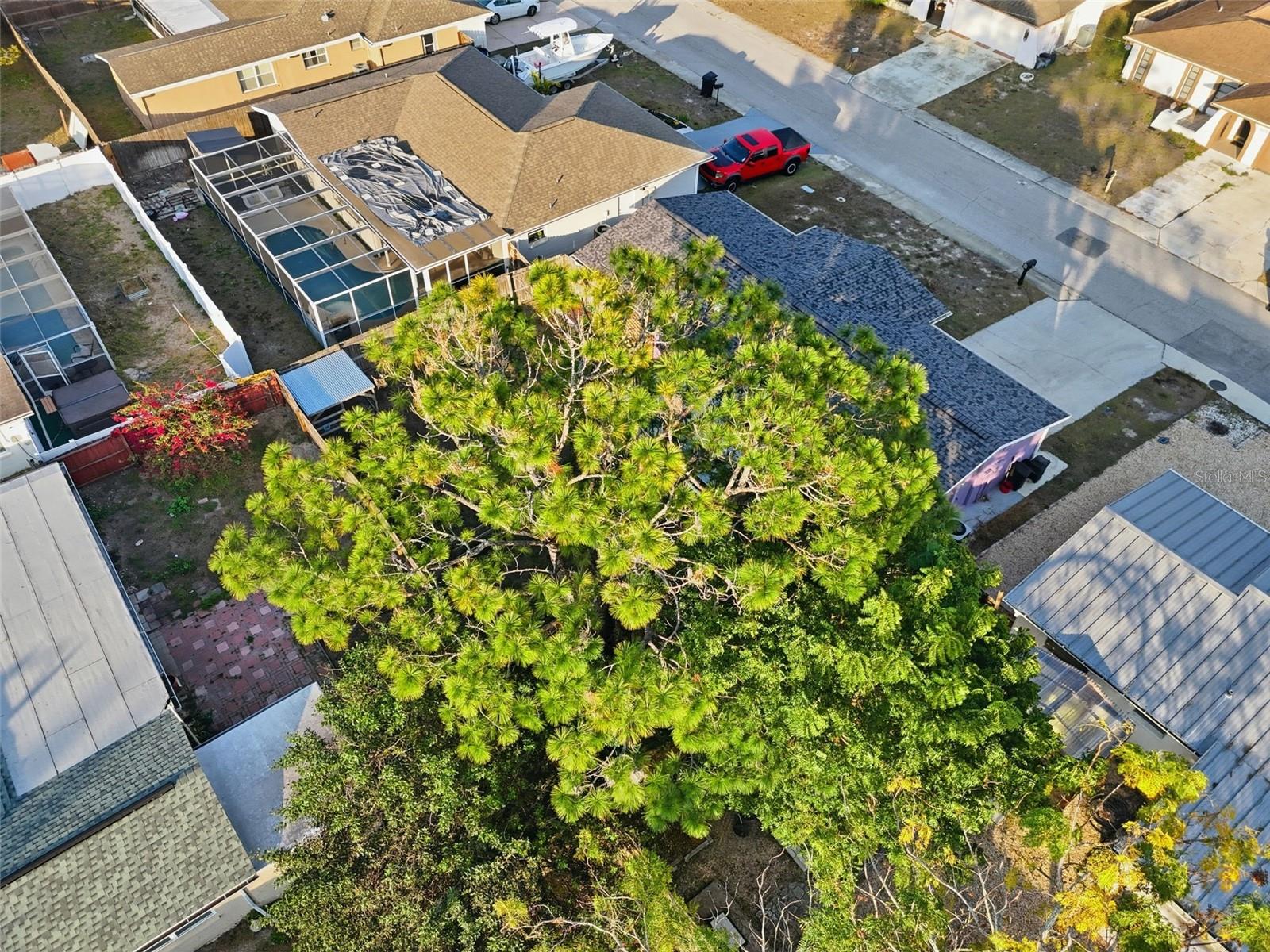 REGENCY PARK - Residential