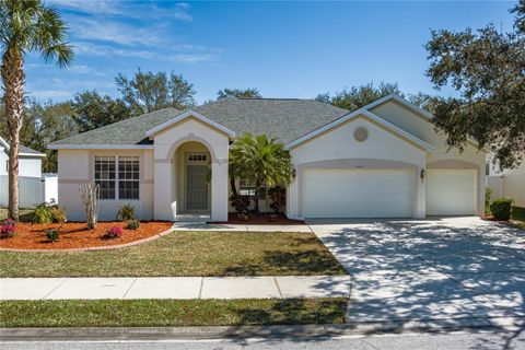 11465 SUMMIT ROCK COURT PARRISH FL 34219