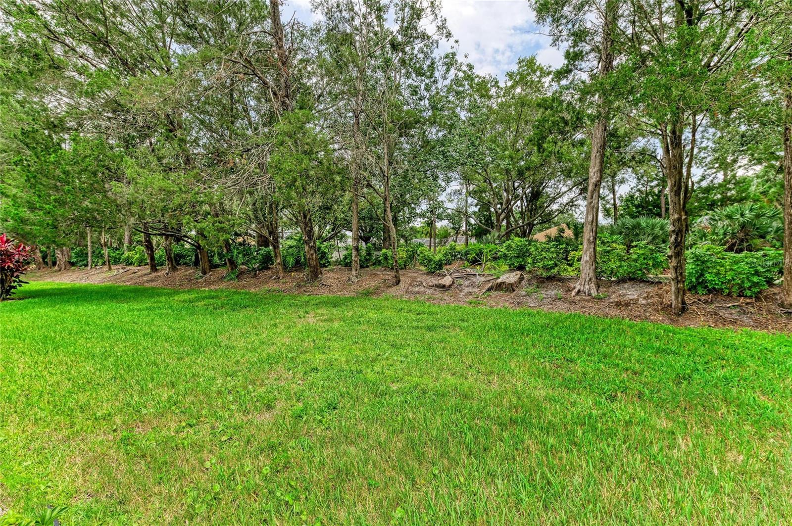 SUMMERFIELD VILLAGE SUBPHASE C - Residential