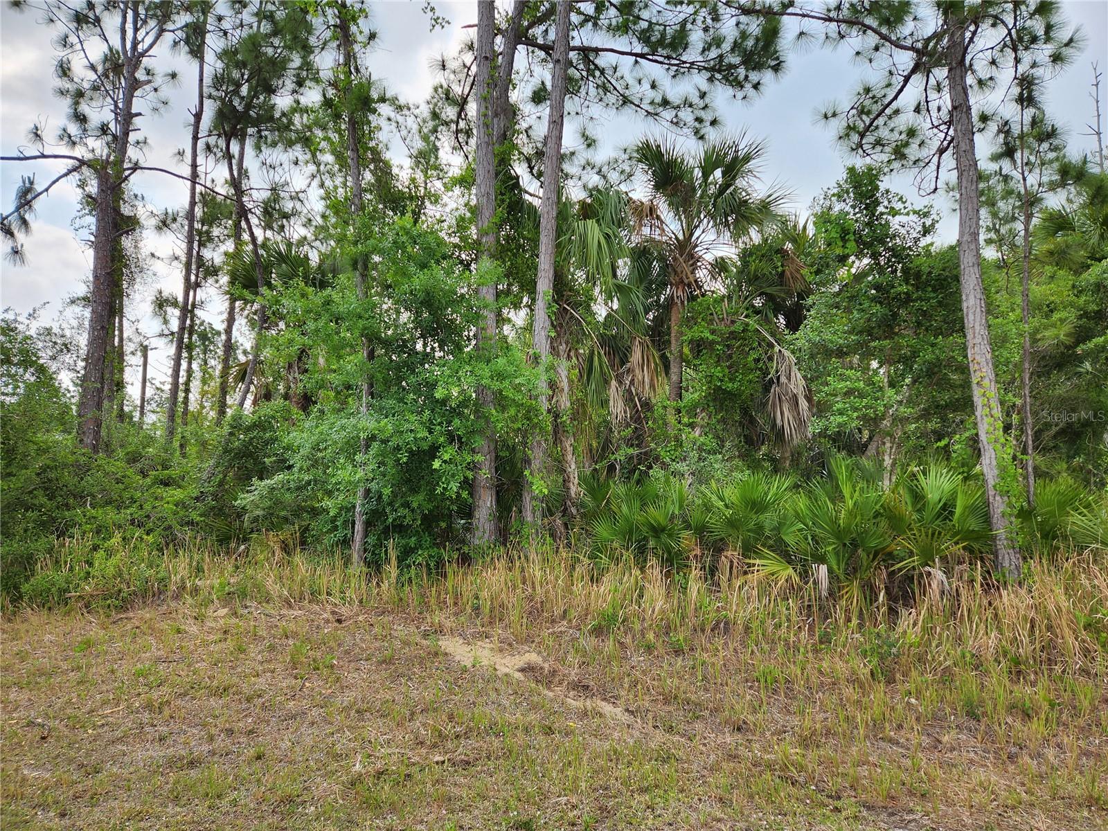 Prime oversized CORNER building site in the heart of Sarasota County's rapidly growing city of North Port. No HOA! X flood zone! Close to shopping, schools, dining and highways. Ideally located near amenities such as the Aquatic Water Park, CoolToday Sports Park home of the Atlanta Braves spring training, several golf courses and beautiful Gulf beaches. World class boating and fishing just a short drive away.