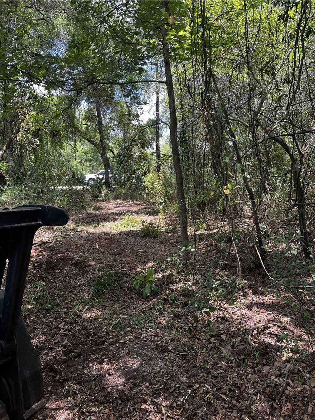 Photo of 9532 E Peachtree Lane, Inverness, FL 34453 (MLS # W7866467)