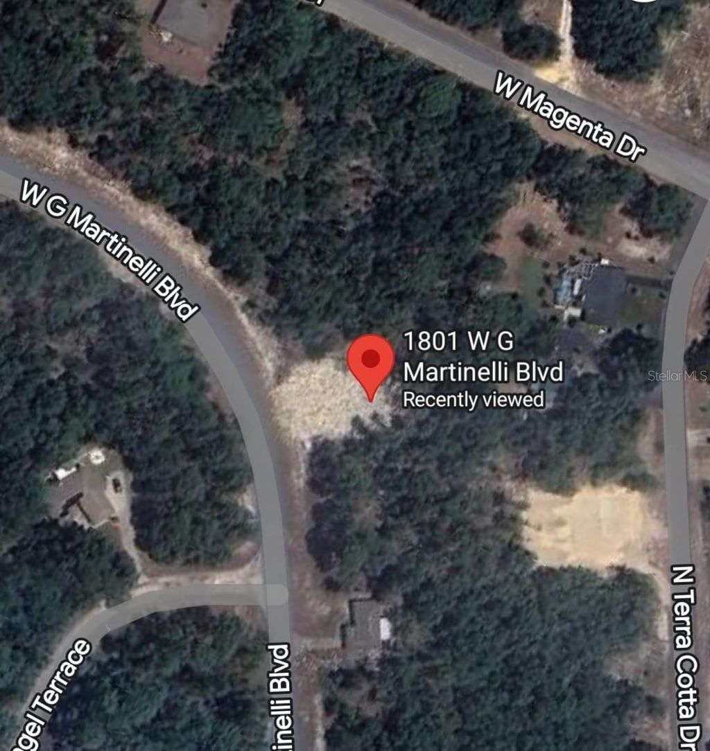 Photo of W G Martinelli Blvd #1801, Citrus Springs, FL 34434 (MLS # O6335849)