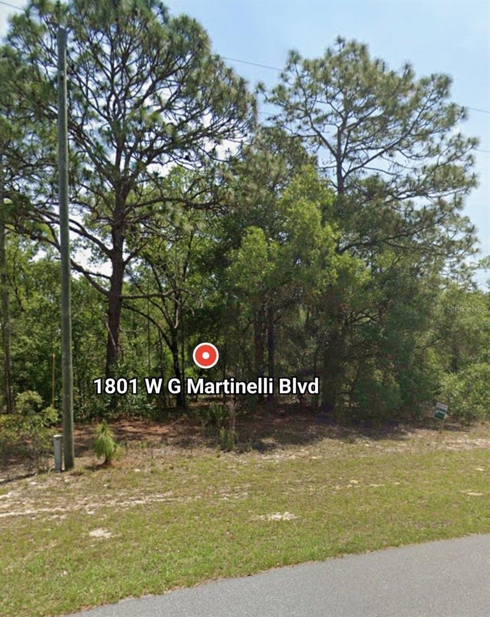 lot available located in CITRUS SPRINGS - Florida. The fastest-growing city in FL which offers an ideal canvas for realizing your dream home. Enjoy the peace and privacy of this location, just 25 minutes from Crystal River and nearby springs.
A great opportunity , we have the builder that can Buit for you ask about it.
The impact fee was paid already and lot has been cleaned
Wr also have a Builder that can build your dream home.
Let me know how I can help.