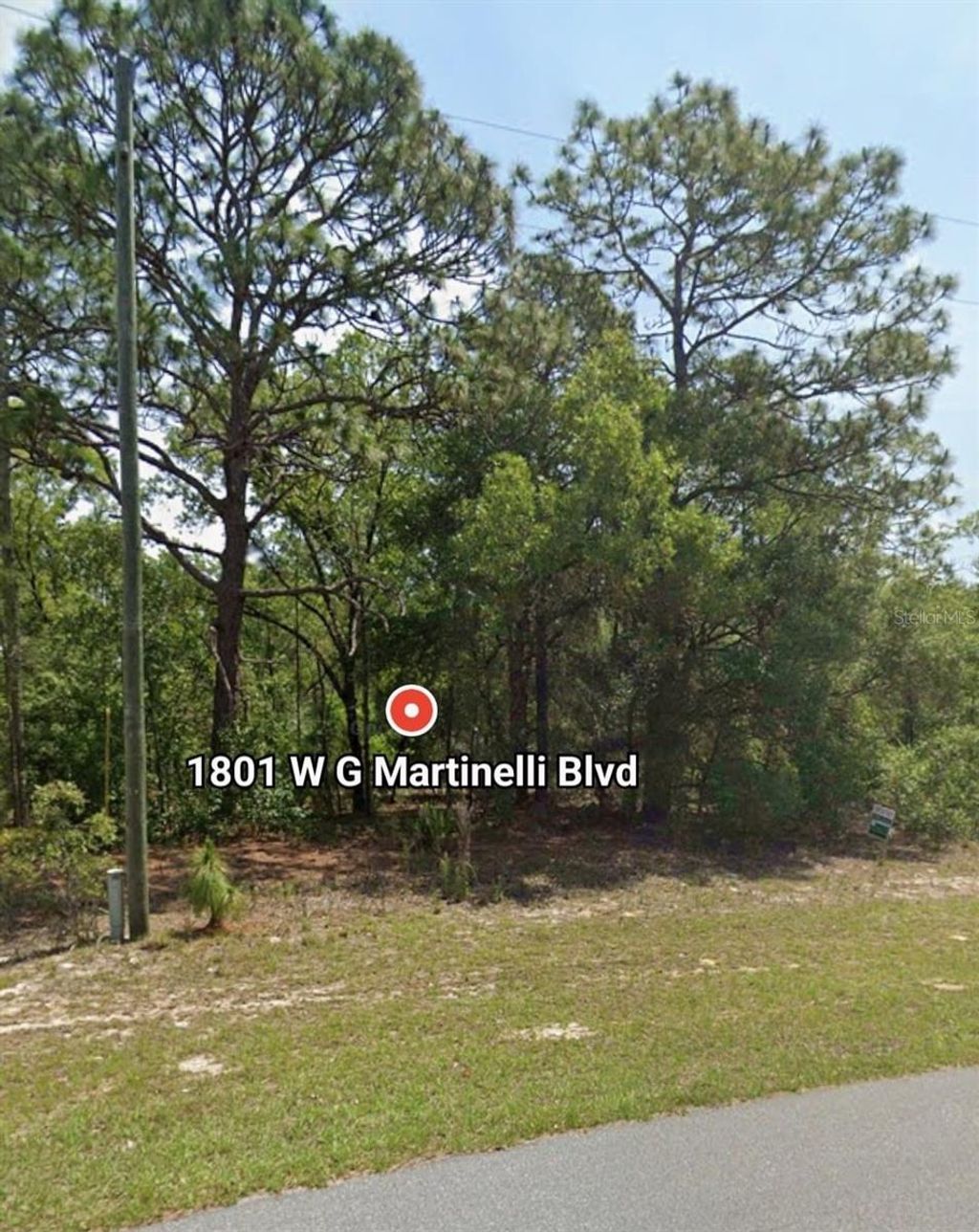 Photo of W G Martinelli Blvd #1801, Citrus Springs, FL 34434 (MLS # O6335849)