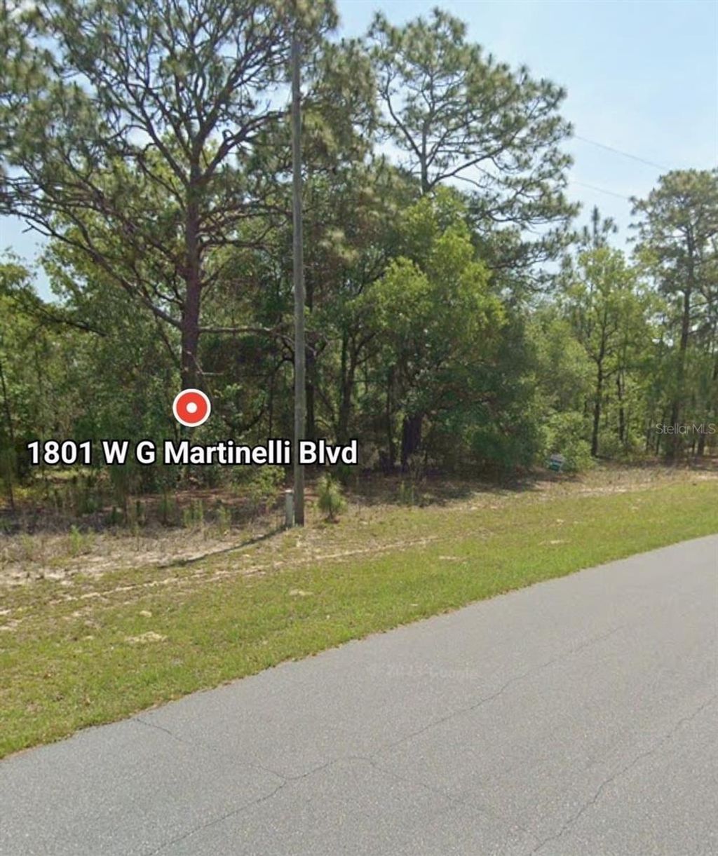 Photo of W G Martinelli Blvd #1801, Citrus Springs, FL 34434 (MLS # O6335849)