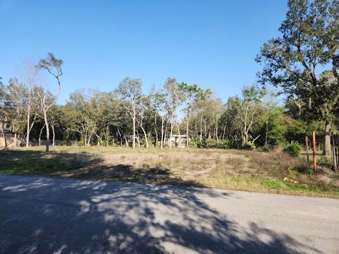 LOT 19 NW 119 TH COURT OCALA FL 34482