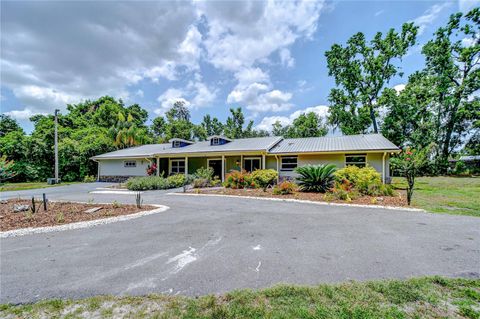 1931 JAUDON ROAD DOVER FL 33527