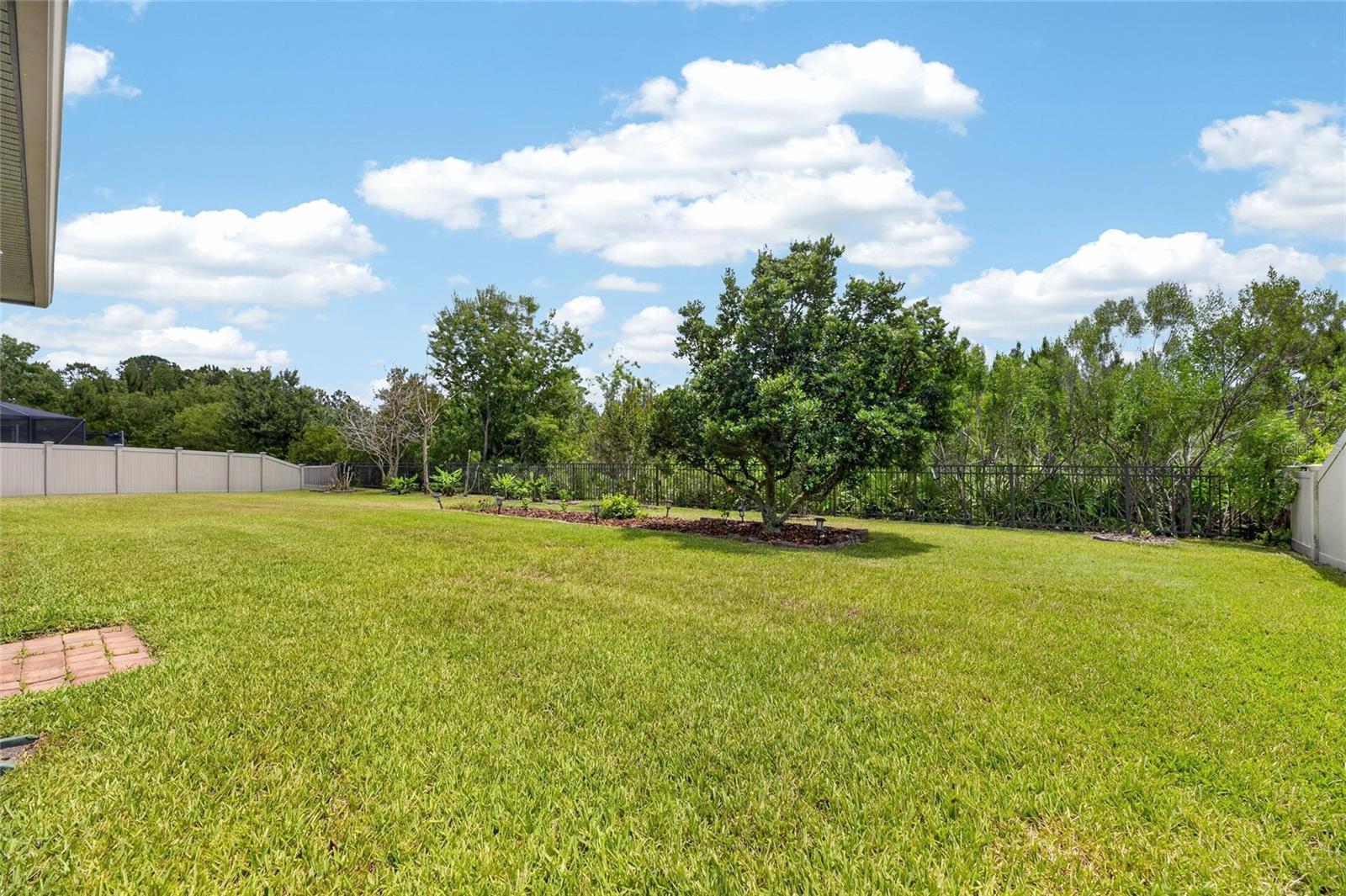 MEADOW POINTE IV - Residential