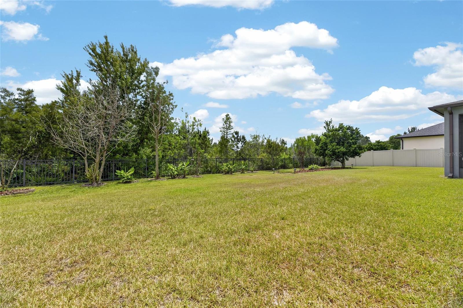 MEADOW POINTE IV - Residential
