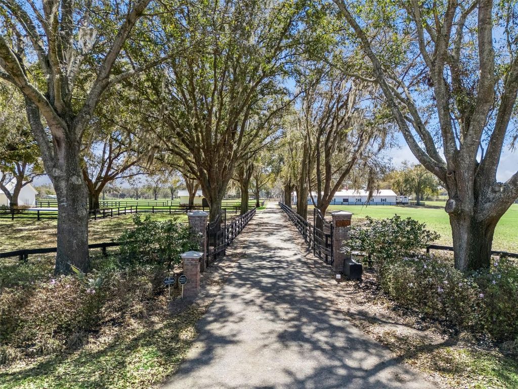 Photo of 7100 Redwing Road, Groveland, FL 34736 (MLS # O6385216)