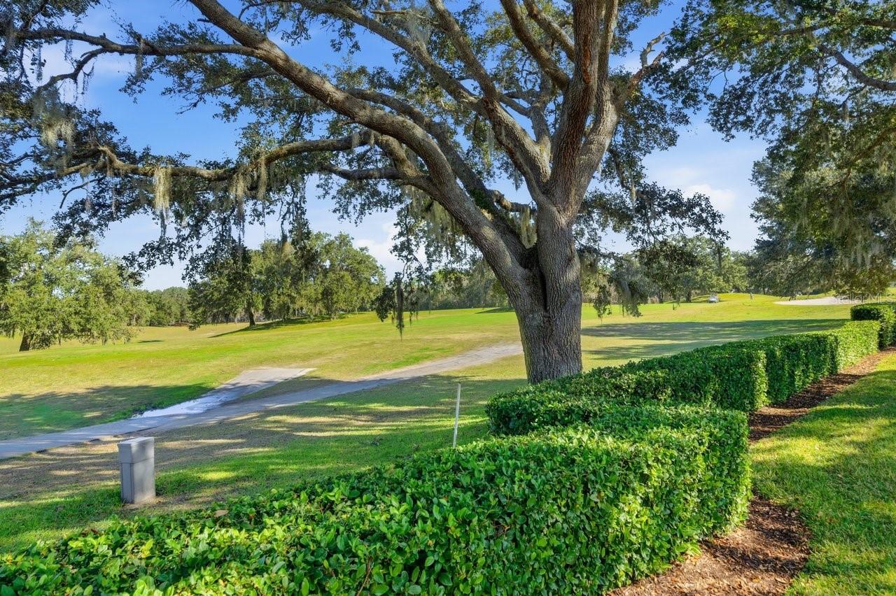 SILVERTHORN PH 1 - Residential