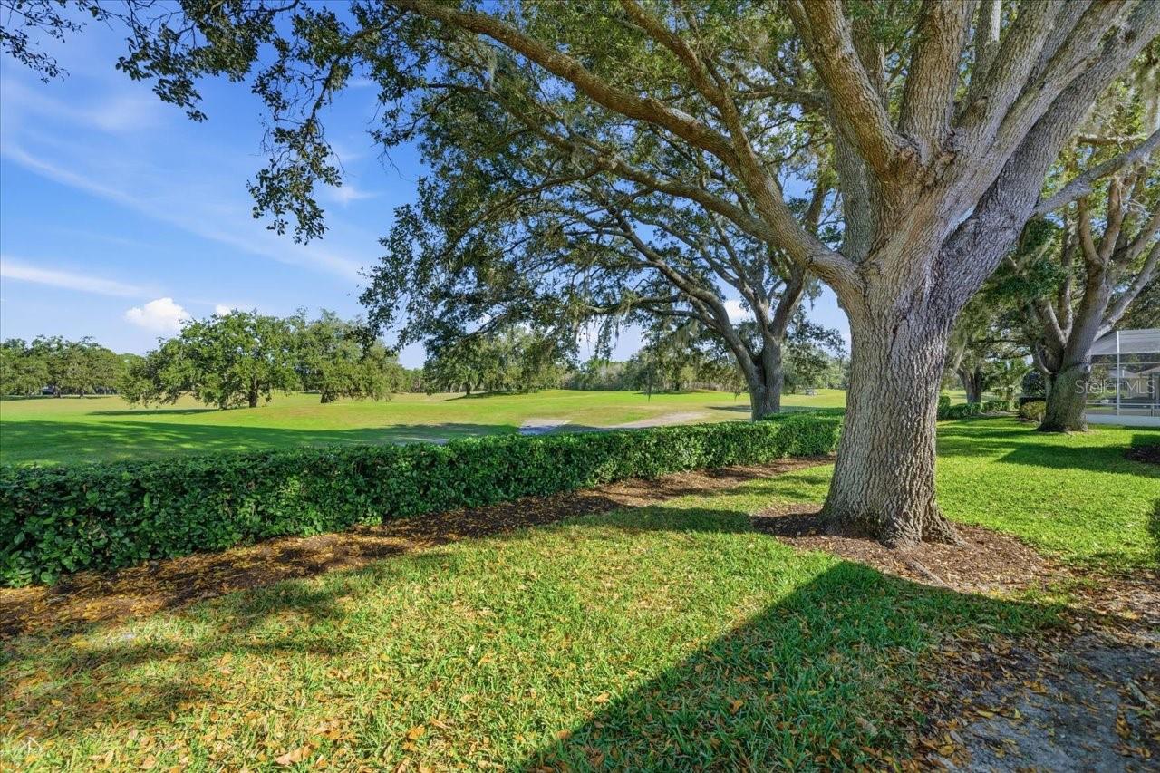 SILVERTHORN PH 1 - Residential