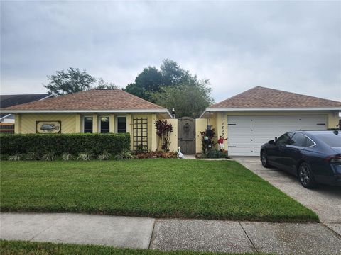 15005 ROUNDUP DRIVE TAMPA FL 33624