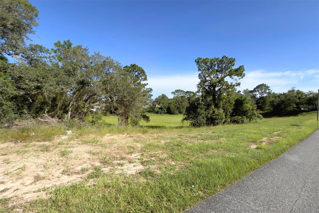 Photo of 3098 Pintado Avenue, Spring Hill, FL 34609 (MLS # W7890001)