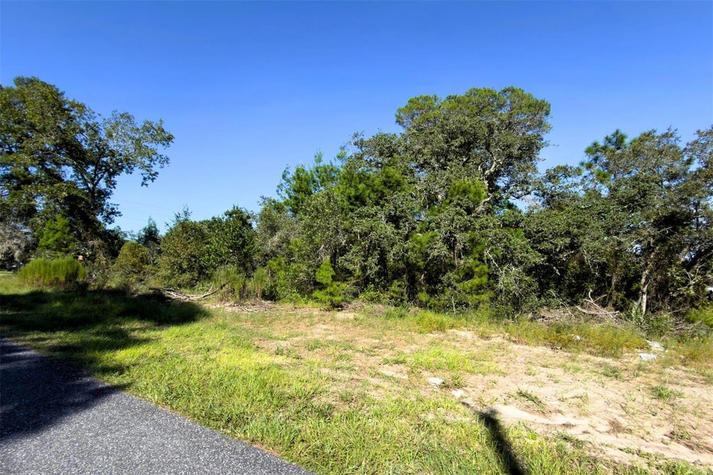 Photo of 3098 Pintado Avenue, Spring Hill, FL 34609 (MLS # W7890001)