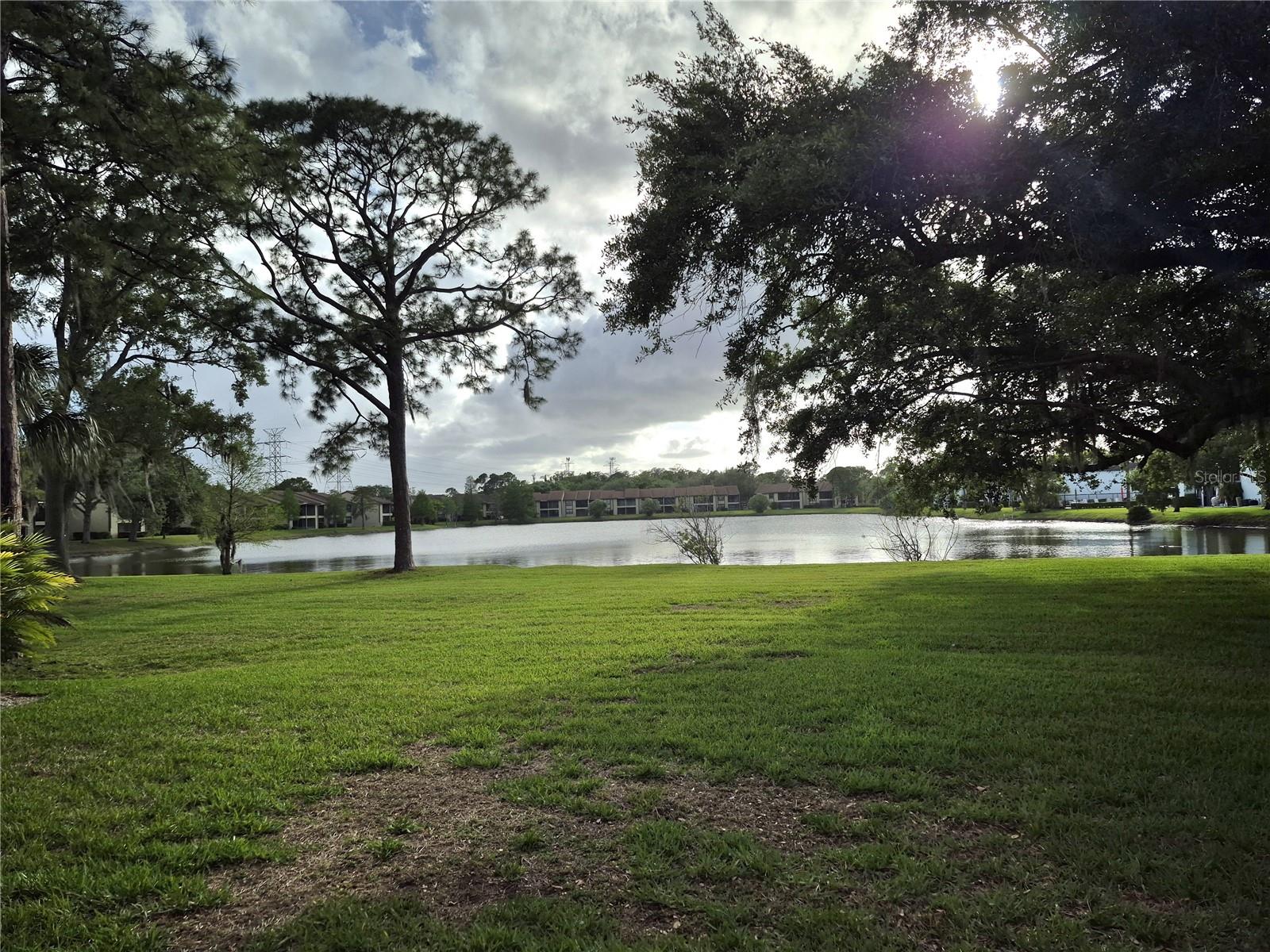 EAST LAKE WOODLANDS WOODLAKE RUN - Residential