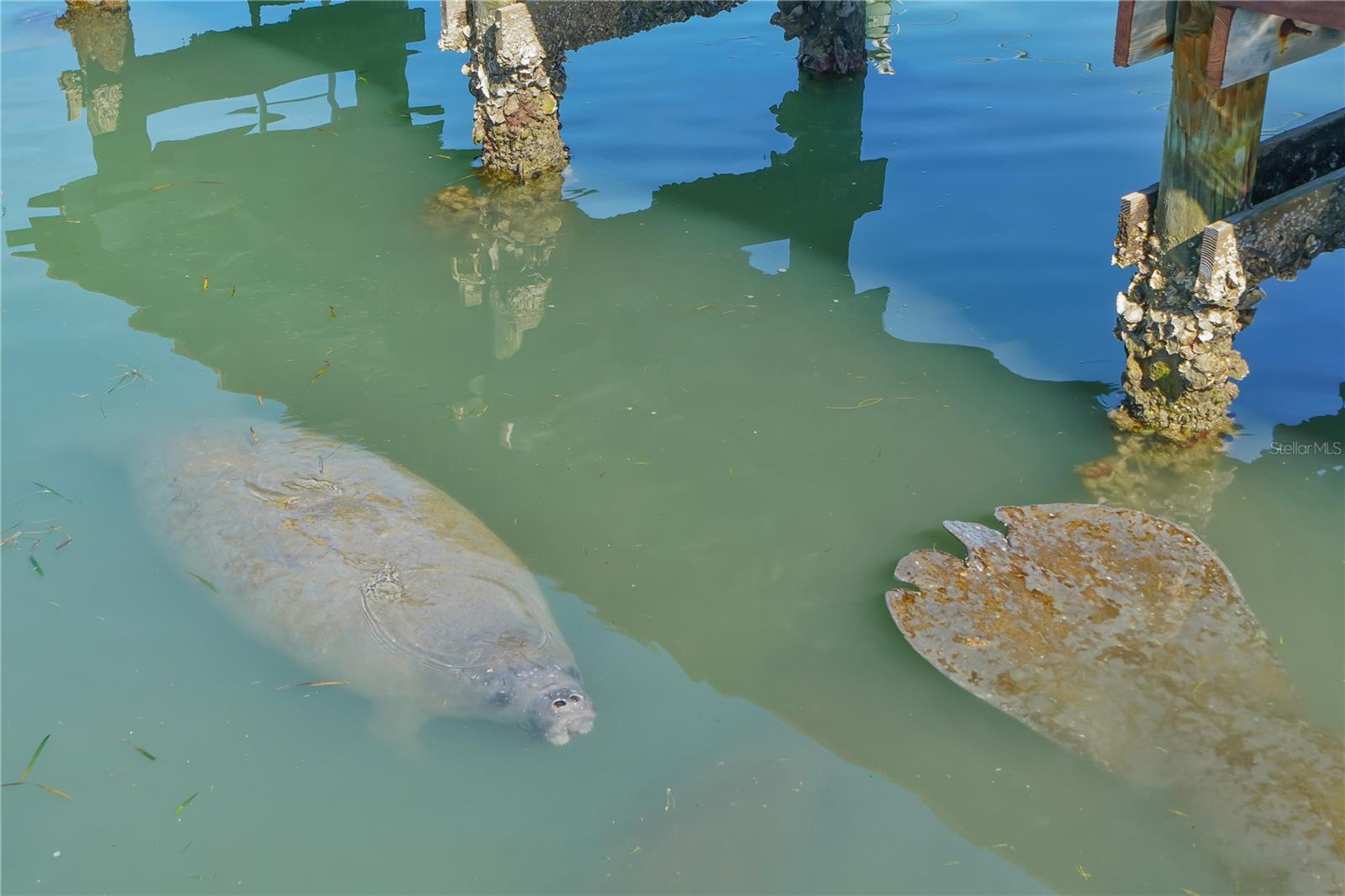 SARASOTA HARBOR EAST - Residential