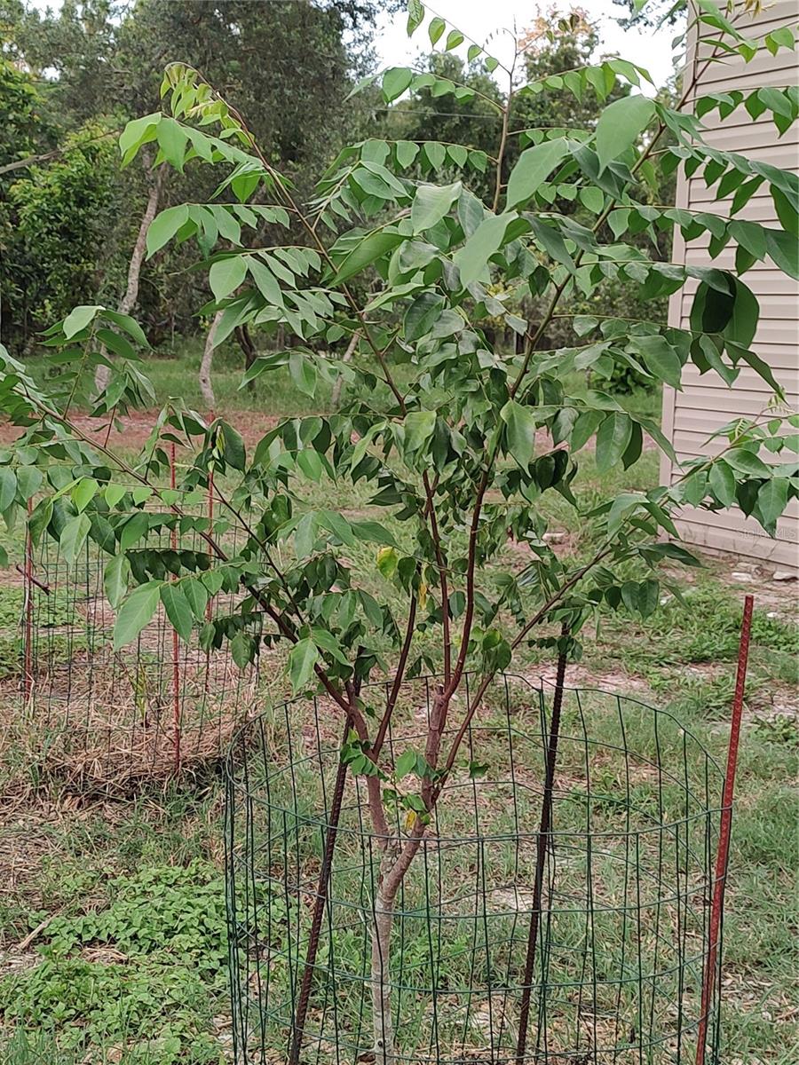 OAKWOOD ACRES - Residential