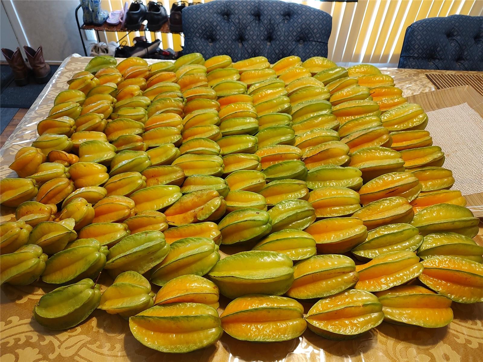 OAKWOOD ACRES - Residential