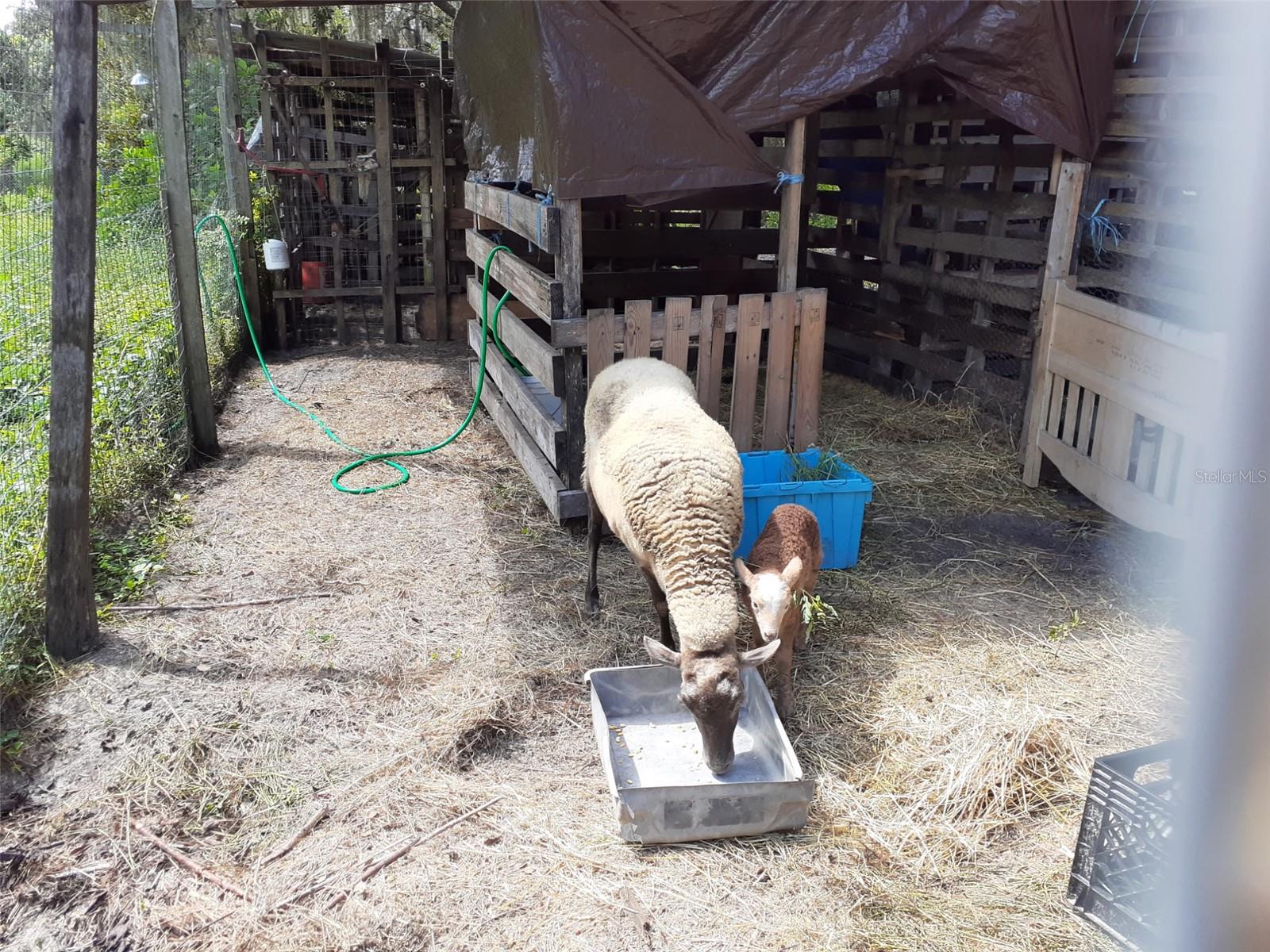 OAKWOOD ACRES - Residential