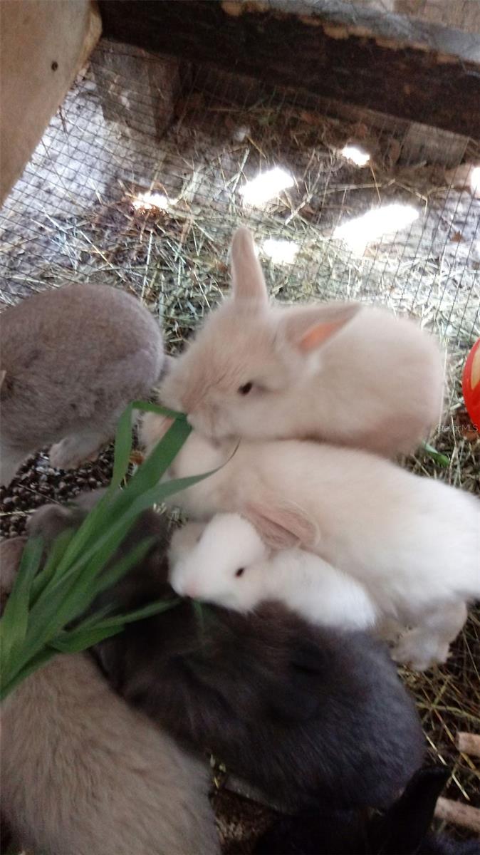 OAKWOOD ACRES - Residential