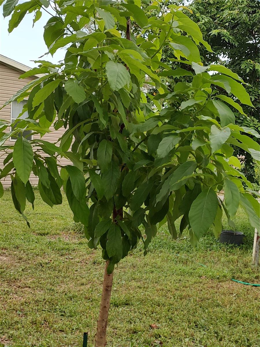 OAKWOOD ACRES - Residential