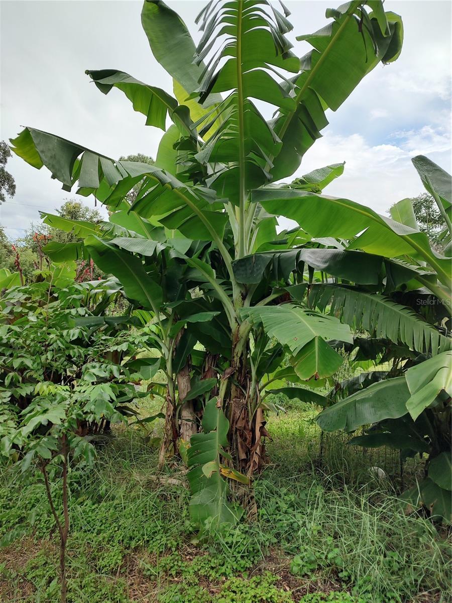 OAKWOOD ACRES - Residential