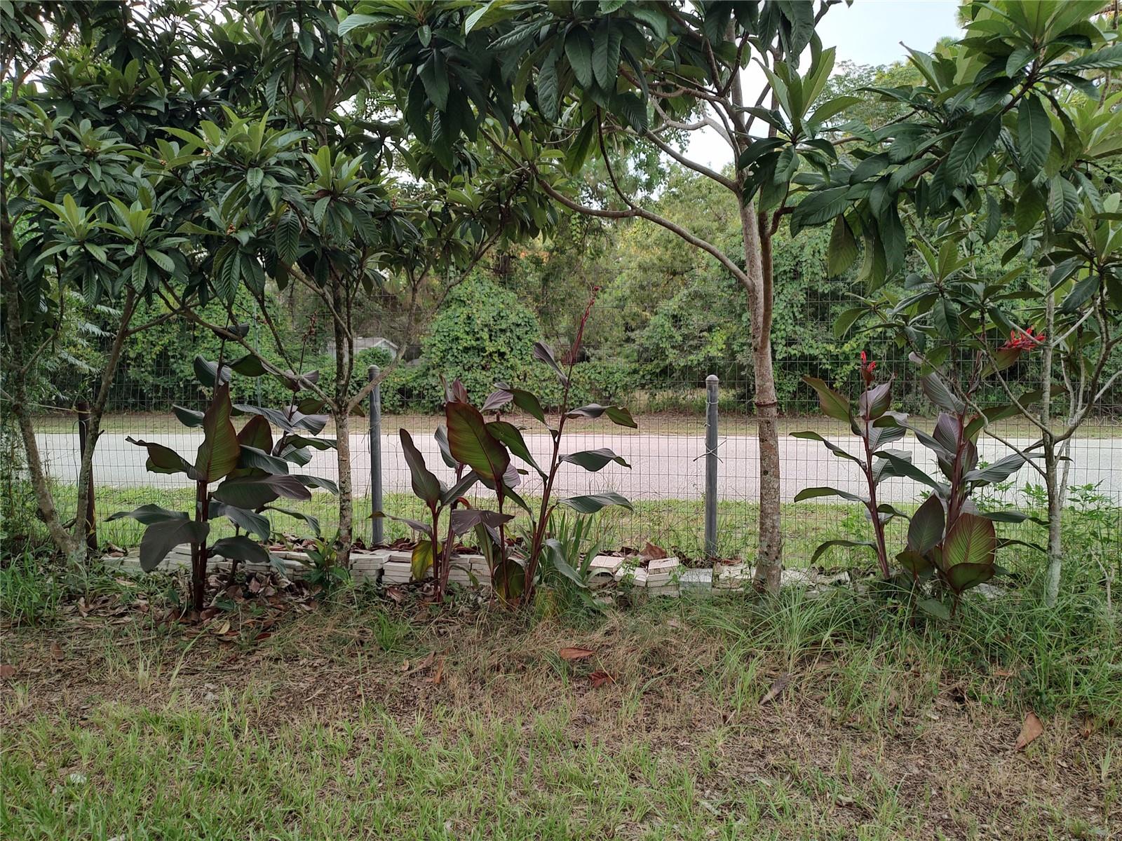 OAKWOOD ACRES - Residential