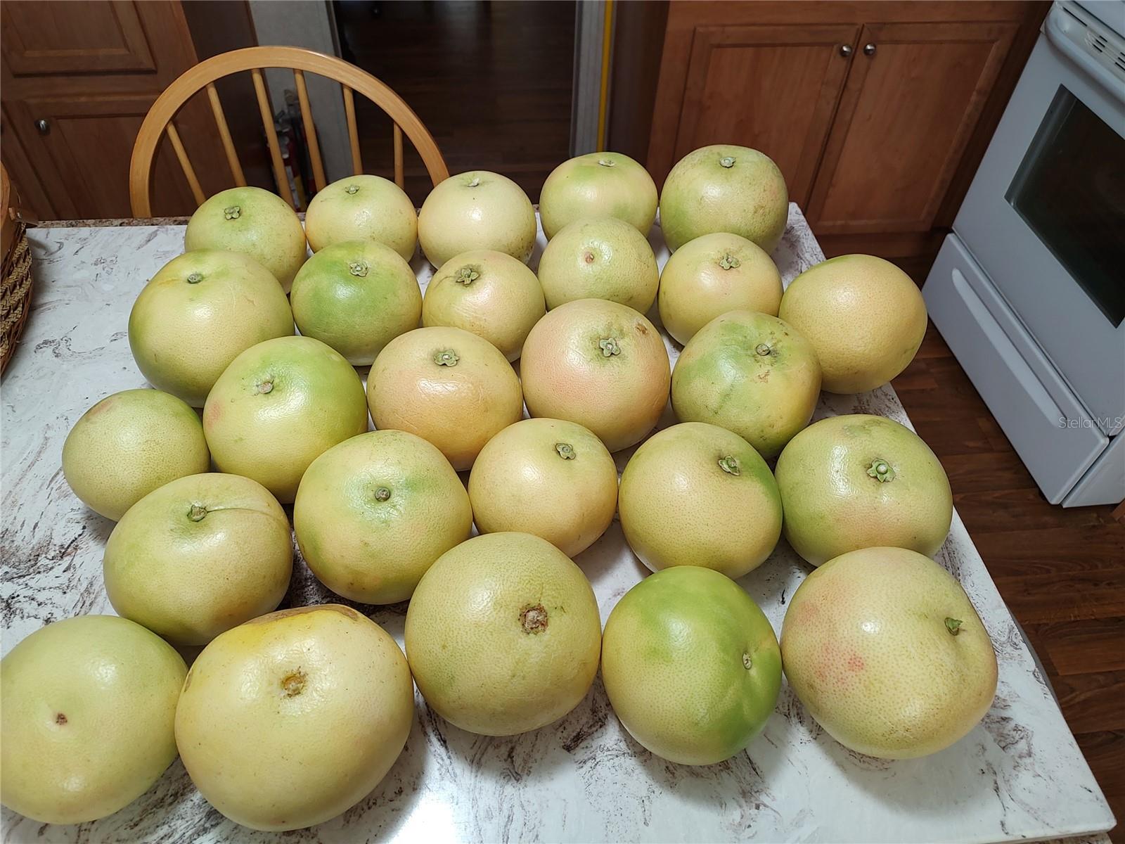 OAKWOOD ACRES - Residential