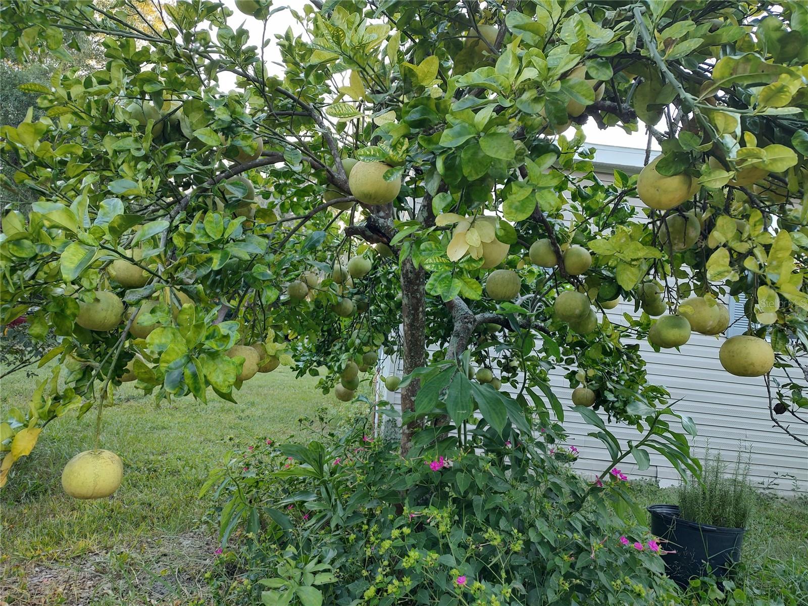 OAKWOOD ACRES - Residential