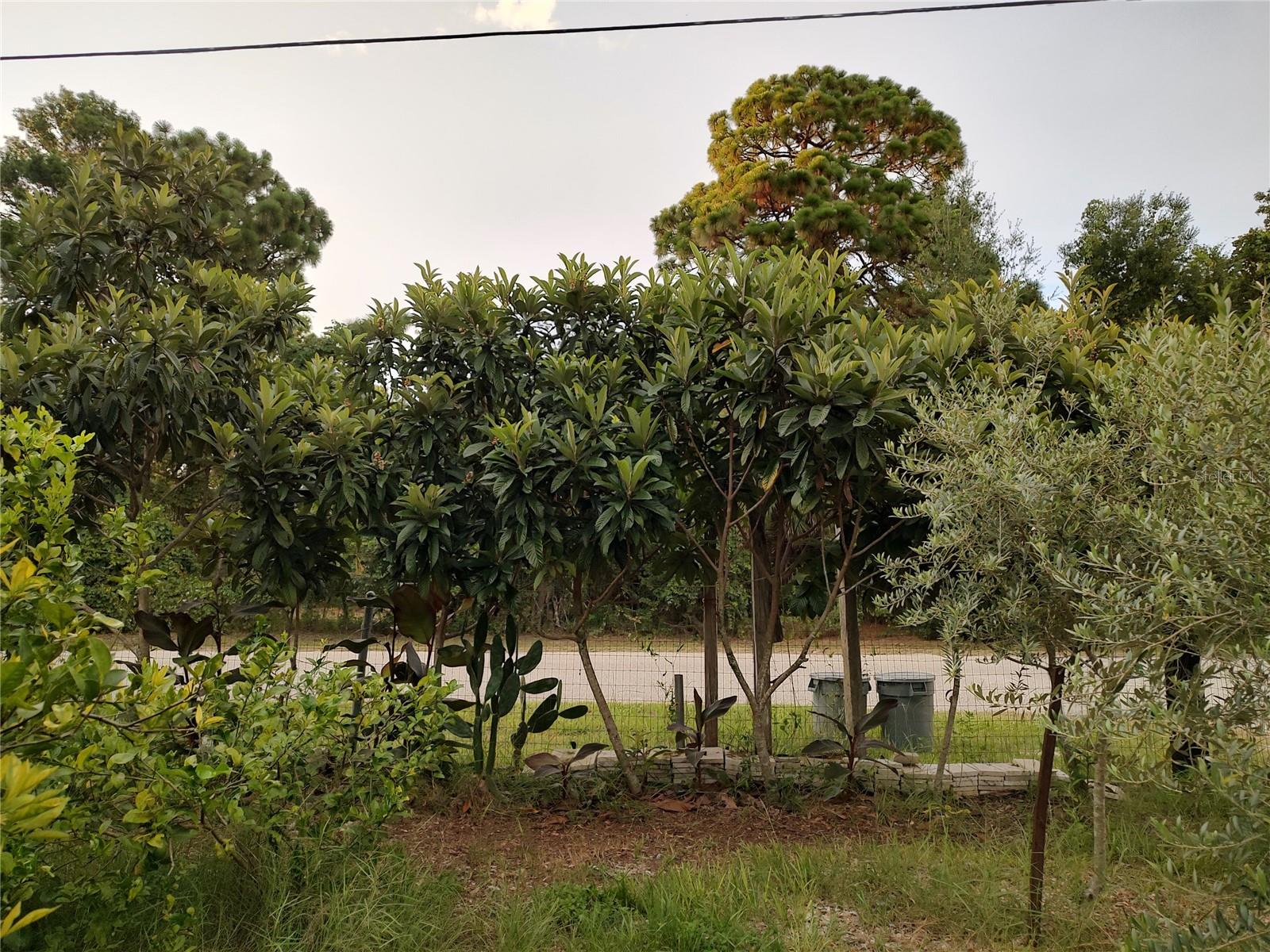 OAKWOOD ACRES - Residential