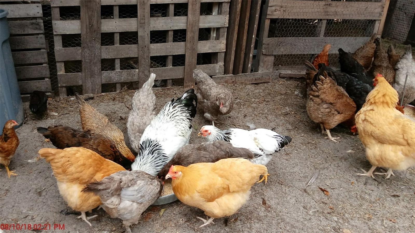 OAKWOOD ACRES - Residential