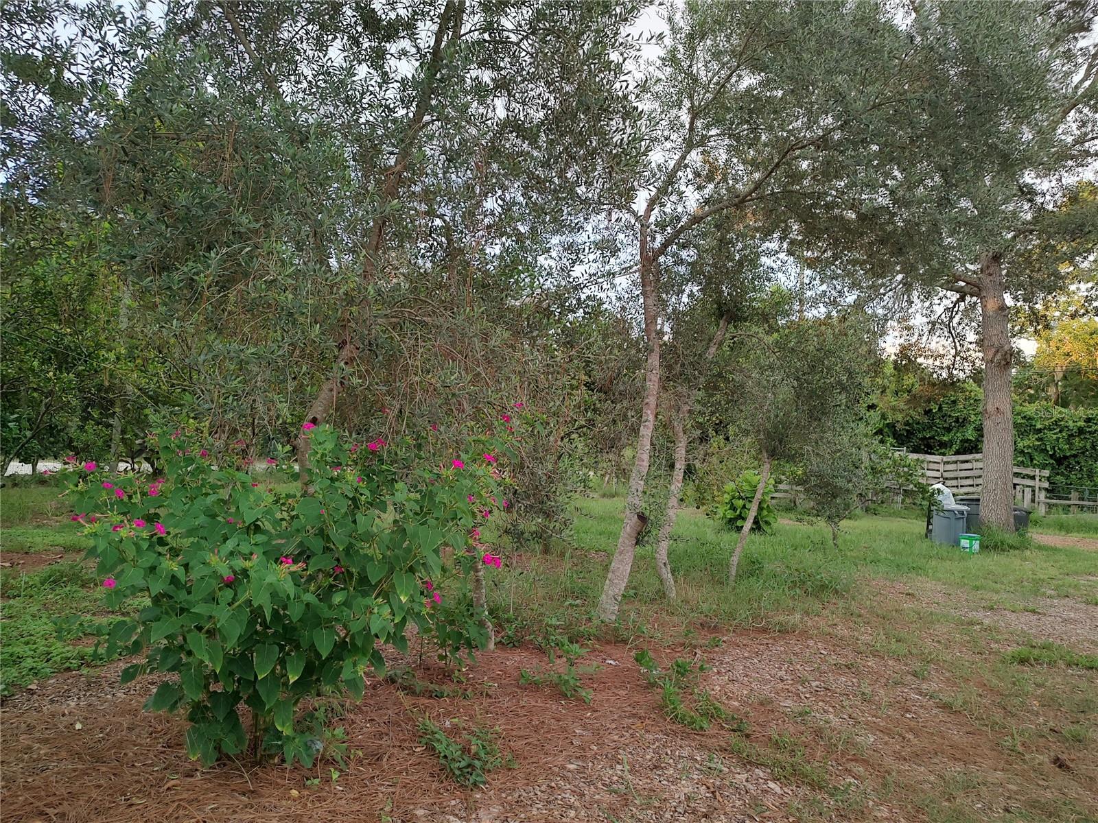 OAKWOOD ACRES - Residential