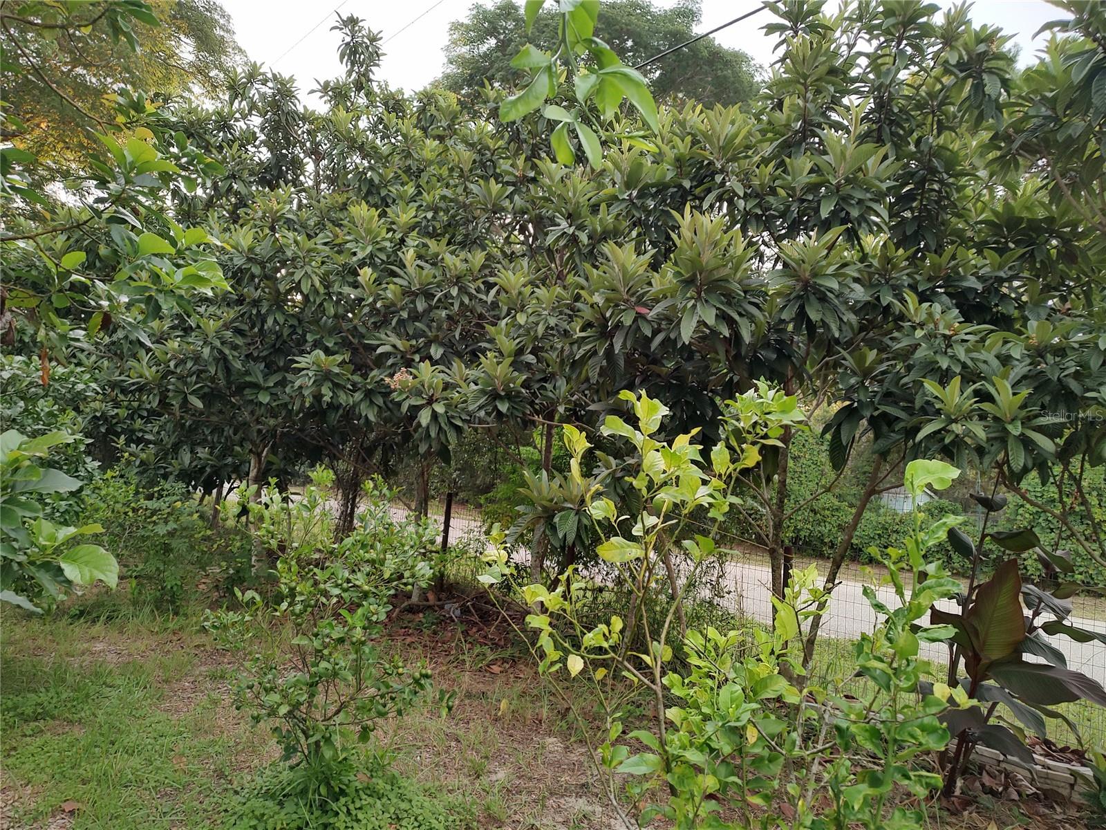 OAKWOOD ACRES - Residential