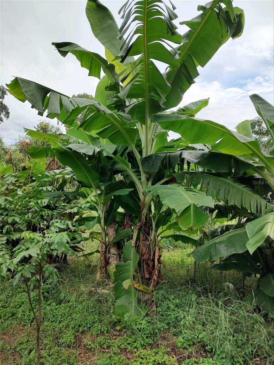 OAKWOOD ACRES - Residential