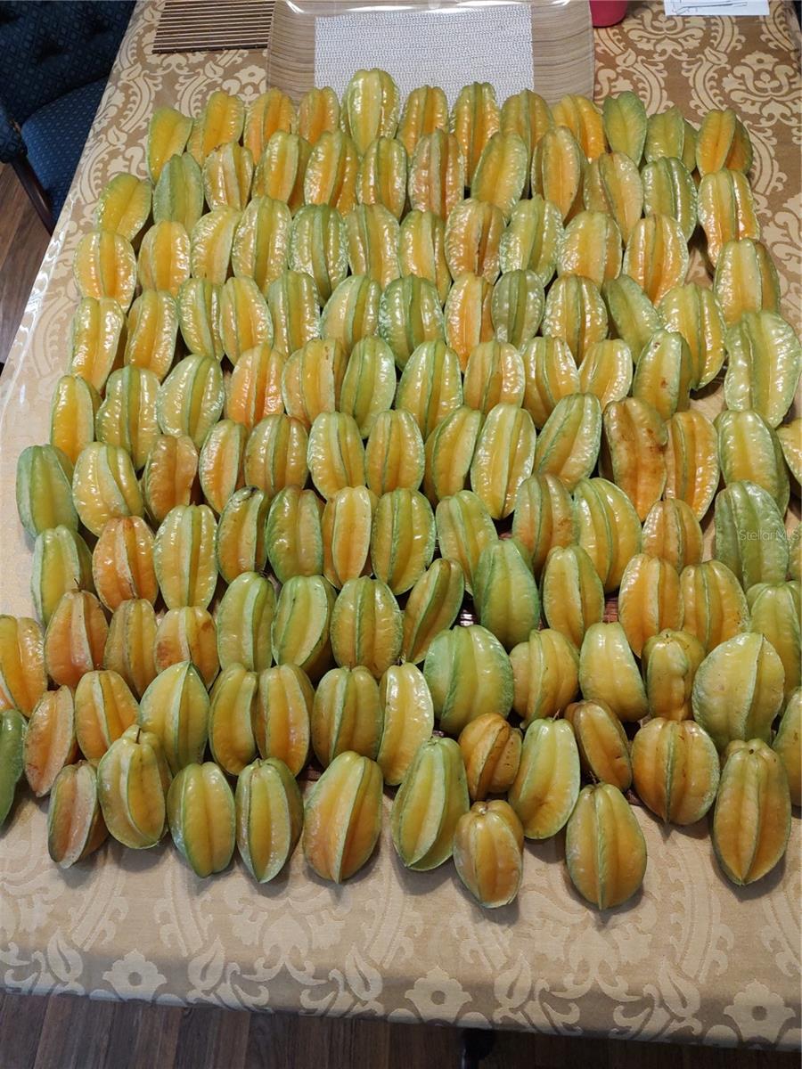 OAKWOOD ACRES - Residential