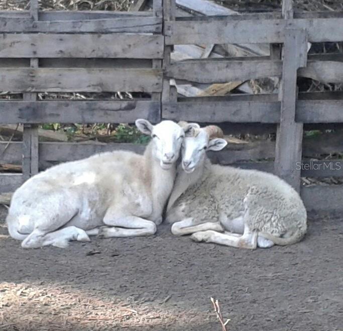 OAKWOOD ACRES - Residential