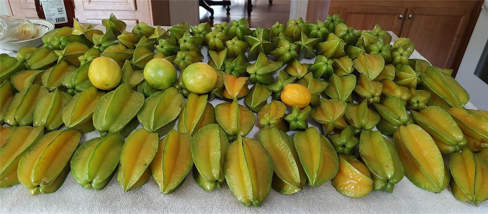 OAKWOOD ACRES - Residential