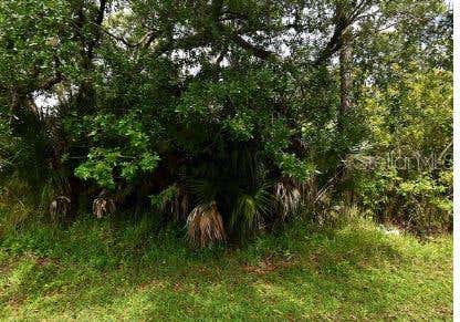 Photo of Carver Street, North Port, FL 34286 (MLS # OM729852)