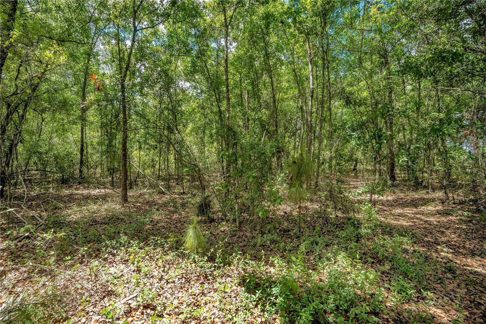 SPRUCE CREEK FARMS UNIT 01-02 - Land