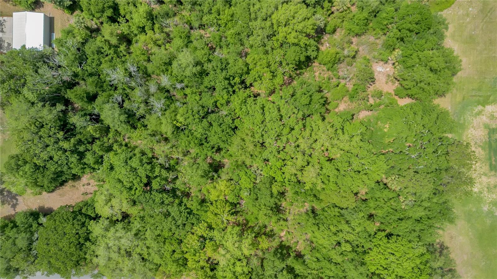 SPRUCE CREEK FARMS UNIT 01-02 - Land